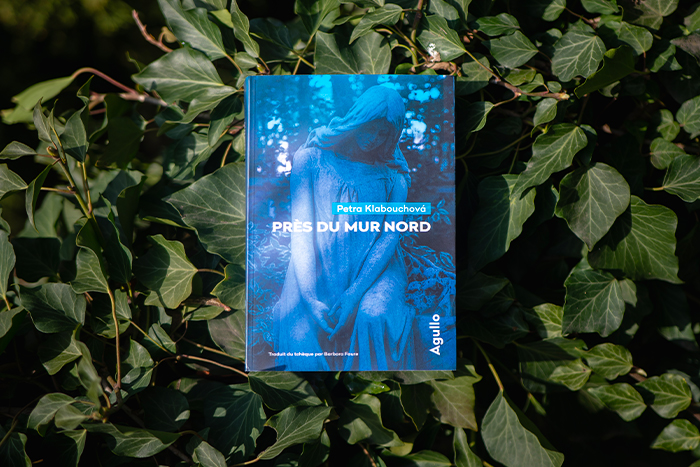 The Literary Prize of the Francophone Embassies in Prague awarded to our writer again