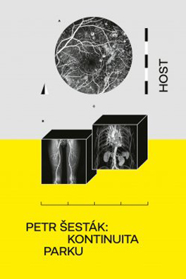 Petr Šesták: Continuity in the Park